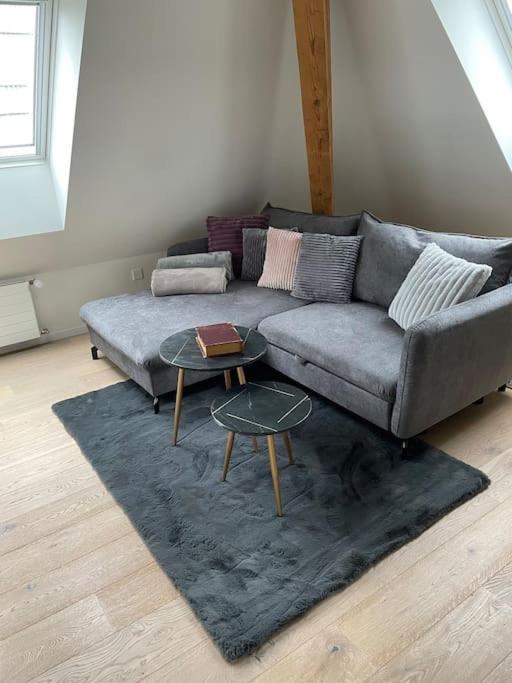Gemuetliche & Zentrale Wohnung In Der Stadt Zuerich Luaran gambar