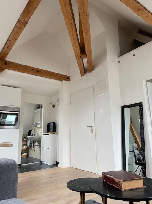 Gemuetliche & Zentrale Wohnung In Der Stadt Zuerich Luaran gambar